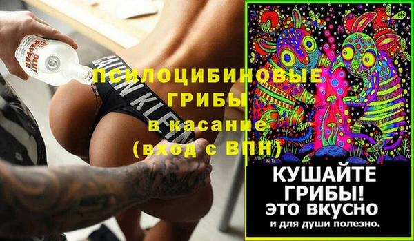 ПСИЛОЦИБИНОВЫЕ ГРИБЫ Магас