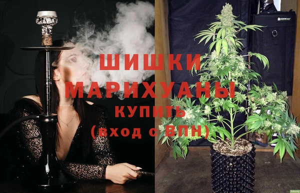 крисы Майский